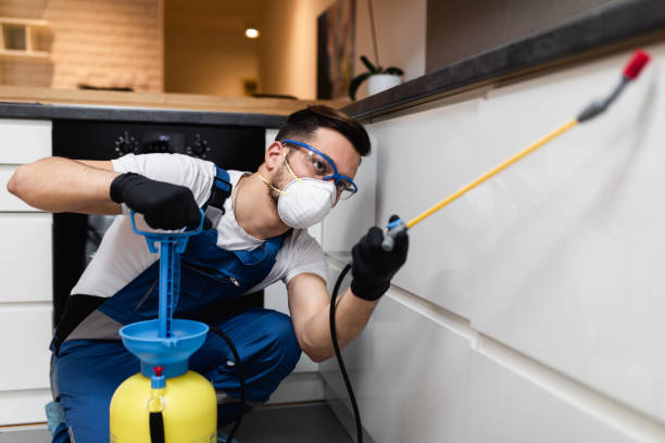 Best Rat Extermination Near Me  in Janesville, CA