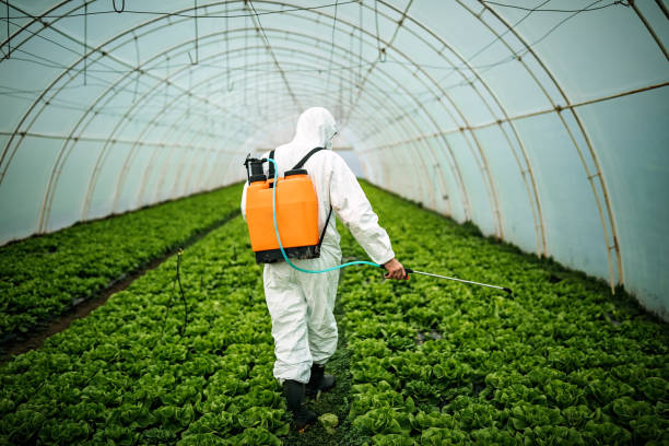 Best Pest Prevention Services  in Janesville, CA