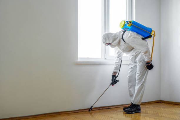 Best Flea Control Services  in Janesville, CA