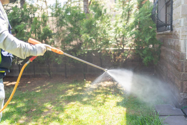 Best Emergency Pest Control  in Janesville, CA
