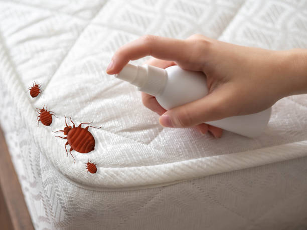 Best Residential Pest Control  in Janesville, CA