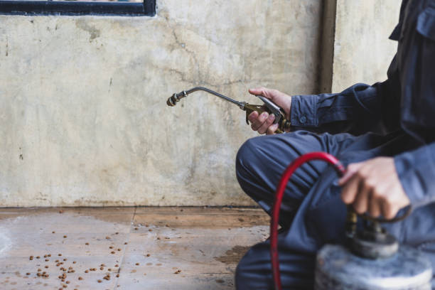 Pest Control for Restaurants in Janesville, CA
